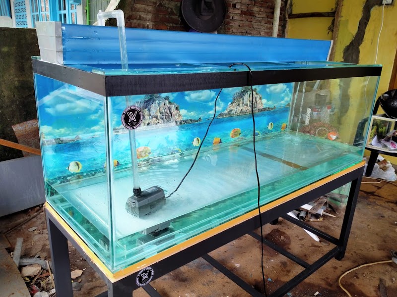 Akuarium Impian di Tengah Cilacap: Vionaquatik, Tempat Ikan Hias Menari
